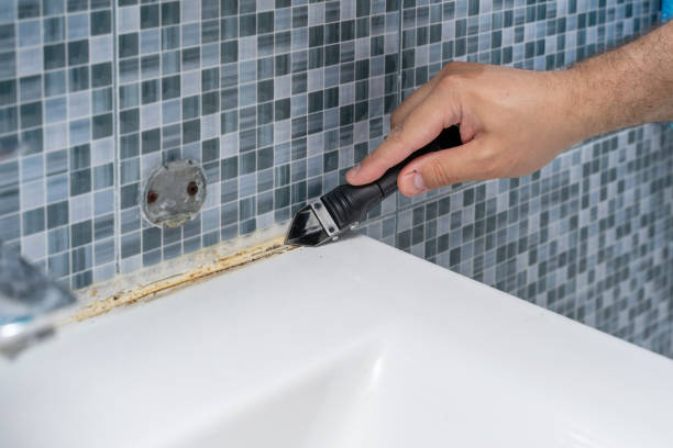 Best Fast Mold Removal  in Tacoma, WA