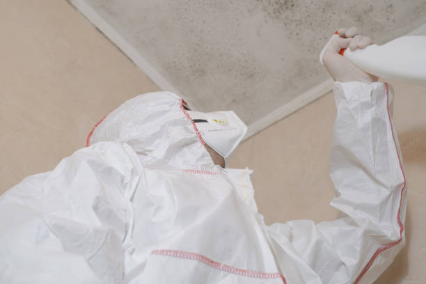 Best Mold Removal Company Near Me  in Tacoma, WA